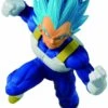 Ichibansho: Vegeta (Super Saiyan God Super Saiyan)