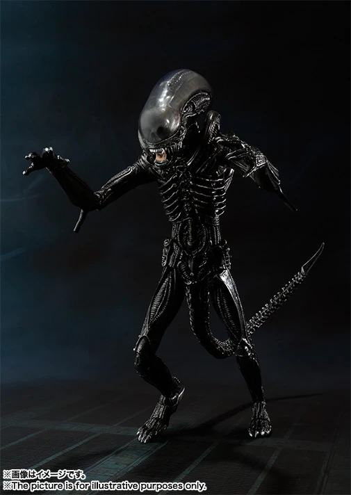 S.H.MonsterArts: Alien Big Chap 9 S.H.MonsterArts: Alien Big Chap - Image 7