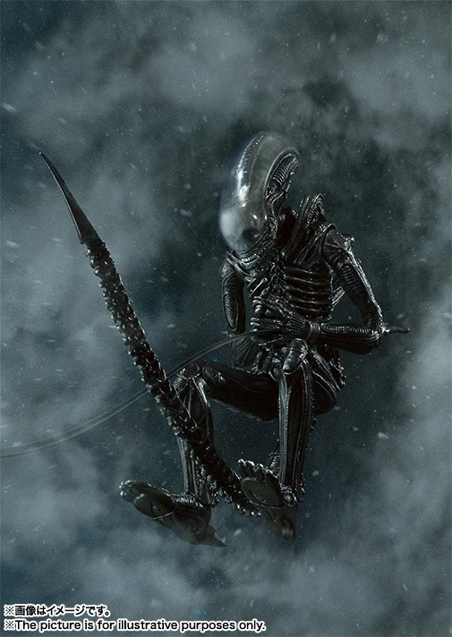 S.H.MonsterArts: Alien Big Chap 10 S.H.MonsterArts: Alien Big Chap - Image 8