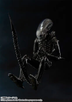 S.H.MonsterArts: Alien Big Chap 21 S.H.MonsterArts: Alien Big Chap -Toy Shop product image 1156