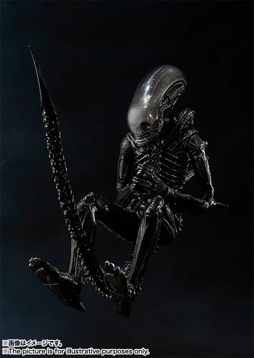 S.H.MonsterArts: Alien Big Chap 11 S.H.MonsterArts: Alien Big Chap - Image 9