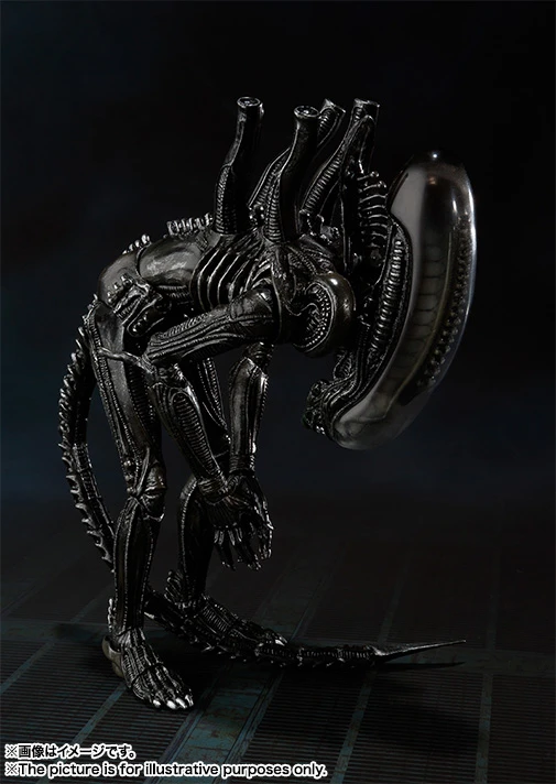 S.H.MonsterArts: Alien Big Chap 12 S.H.MonsterArts: Alien Big Chap - Image 10