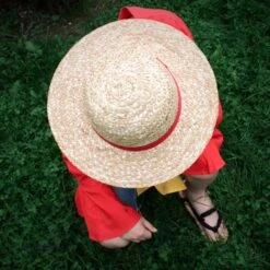 Monkey D. Luffy Straw Hat (Adult Size) -Toy Shop product image 2751