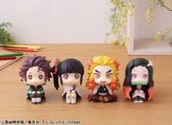 Look Up Series: Tsuyuri Kanao -Toy Shop product image 2832