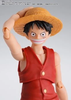 S.H.Figuarts: Monkey D. Luffy (Romance Dawn) -Toy Shop product image 385