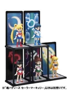 Sailor Moon Tamashii Buddies: Sailor Mercury #012 10 Sailor Moon Tamashii Buddies: Sailor Mercury #012 -Toy Shop product image 4178